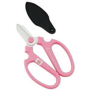 ⌹ nhNG[V (F-170 sN)