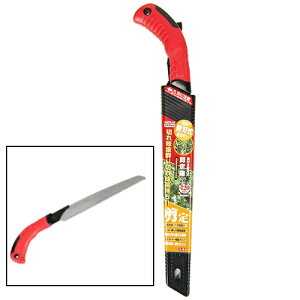 g t֐n苘 240 (SGPS-16)