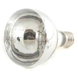 �V���� ������֋� 110V (300W)