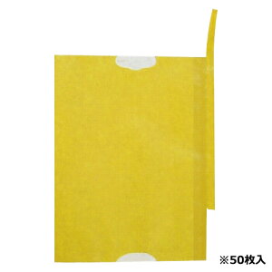 F{X ʎ܂Ȃ (K-12 50}CC)