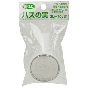 BOLL BOLL OV nX̎ (VJ-101)