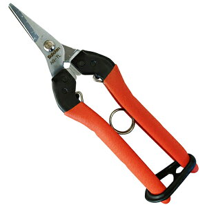 T{e ՌzE[p (No.AG[7L)