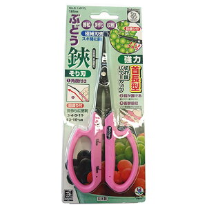 T{e Ԃǂ񒷐ׂn (No.B-1MFPL)