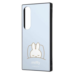 Xperia 1 VI / ~btB[ / nCubhP[X KAKU / ~btB[_₷ [LZEύXEԕis]