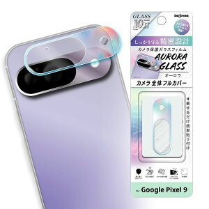 Google Pixel 9 J KXtB I[ 10H / I[ [LZEύXEԕis]