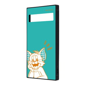 Google Pixel 8a gƃWF[ / KAKU Ռz op[ XNGA nCubhP[X / g