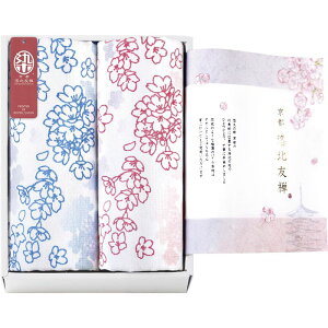 s kFT ЂƂЂƂ߂̃}`^I V[g2P (KYT28400)