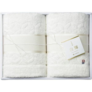 nishikawa P oX^I2P (TT88100091W)