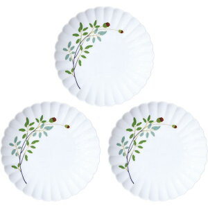   OgXM (40220-3FET4)