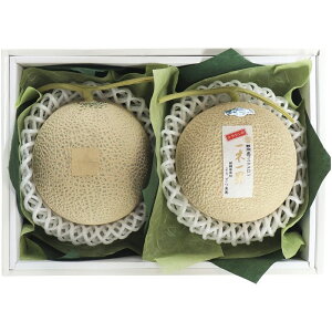 Ε _Cʉ ׃ (MSK-10RW)