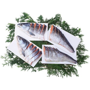 Ε kCYѐVpؐg (76102)