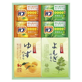 炭酸 薬用入浴剤セット (BKK-10) [キャンセル・変更・返品不可]