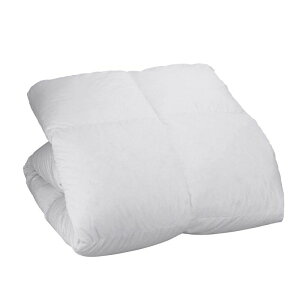 nishikawa 制菌加工生地使用 羽毛掛けふとん (KA04492501)