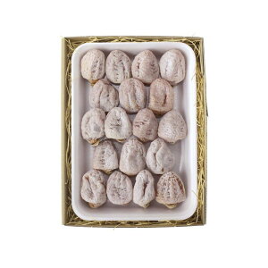 Ε 쌧Ysc`18 (YO-567)