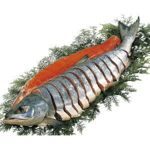 お歳暮 北海道雄武産天然新巻鮭姿造り切り身 (1.8-2.2)