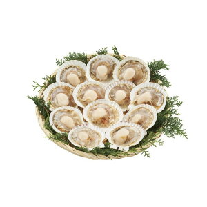 Ε kCYقĕЊL12 (L12)