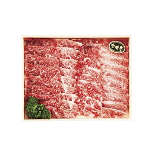 Ε {苍Jrēp600g (600)