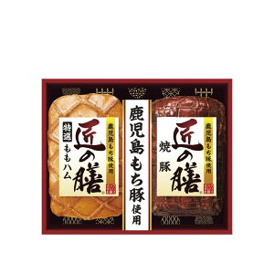 Ε v}n ̑VMtgZbg (TZ-MA)