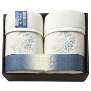 B̍ JV~E[Ȗѕz(щH)2P (SHW-24051C)