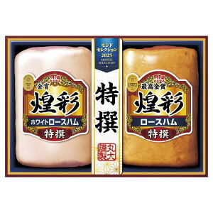 Ε ۑHi ʍō܃nMtg2{l (MSR-40)