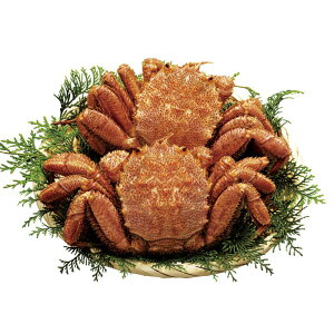 Ε kCYOl䥂Ŗт2 (320×2)