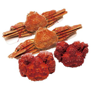 Ε kC2Kj(ԍEIIYC)Zbg