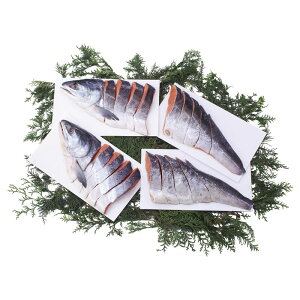 Ε kCYѐVpؐg No55 (76102)