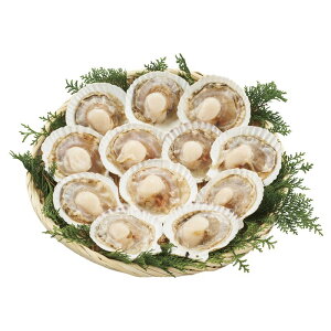 Ε kCYقĕЊL12 (L12)