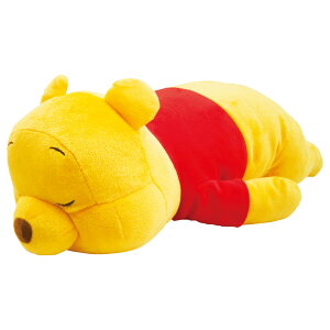 fBYj[ _CJbgNbV ܂̃v[ (2215041000)