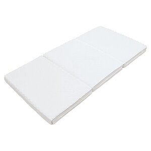 nishikawa _Ŏx}bgX (HC02509201)