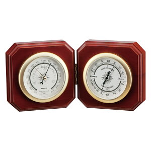 GybNX fGbgCیv (BM-718)