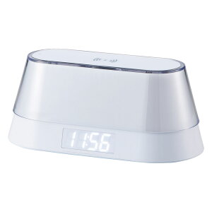 CXXs[J[ECX[dNbN(iCgCgt) (6194)