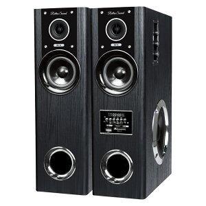Retro Sound _Ci~bNETEhXs[J[ (DS-12)