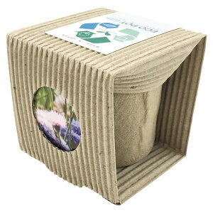 ECO|bgSԂ̎q(1P) FEws