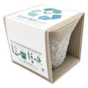 ECO|bgM Ԃ̎q(1P) FEws