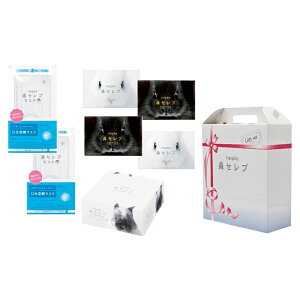 ネピア鼻セレブギフトセット3 (NHS-1502193)