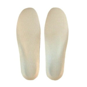 C\[v(Cp~) ɑ΍ fBXEp S(22`22.5cm)