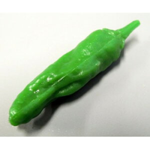 日本職人が作る 食品サンプルマグネット ししとう IP-336