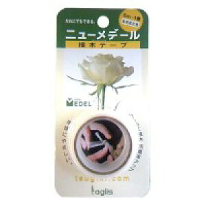 IUbNX ږؗpe[v j[f[ 25mm×5m 3Zbg [bsOs][s][s]