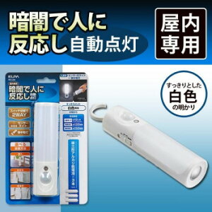 ELPA(Gp) LEDZT[tCg PM-L256 1825300