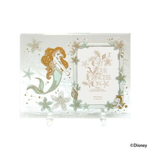 fBYj[ OXt[ T[rXL tHgt[(ʐ^) AG FC90980