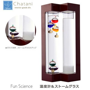 JY Fun Science t@TCGX xvXg[OX 333-273
