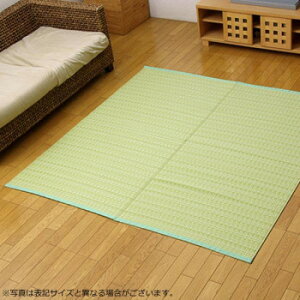 �􂦂� PP�J�[�y�b�g �w�o���J���x �O���[�� �{��6��(��286×382cm) 2102216 [���b�s���O�s��][����s��][�����s��]