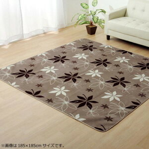 ���O �J�[�y�b�g �wWS�v�����^�x �u���E�� ��200×300cm (�z�b�g�J�[�y�b�g�Ή�) 9810941 [���b�s���O�s��][����s��][�����s��]