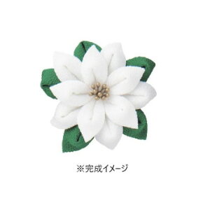 IpX ͂߂Ă̂܂ݍ׍H Lbg |CZ`Ãu[` TZ-6 A