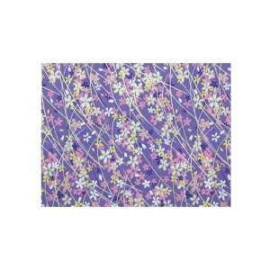 FT 146 1 CM146 [bsOs][s][s]