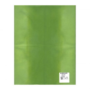 a(L) 480×310mm 10 I-539 1 Zbg