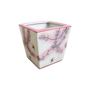 鉢 花 ラッピングの人気商品 通販 価格比較 価格 Com 鉢 花 ラッピングの人気商品 通販 価格比較 価格 Com