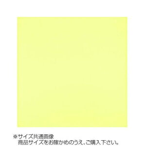 gV[ J[NX 30×30cm A3030-YOO G-47 Cg