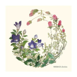 gV[ aA[gV[Y ēc^ 19×19cm A1919P-ZESHIN P301 ؍Ej[